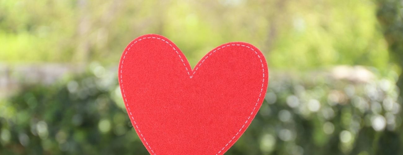 Red heart with green background