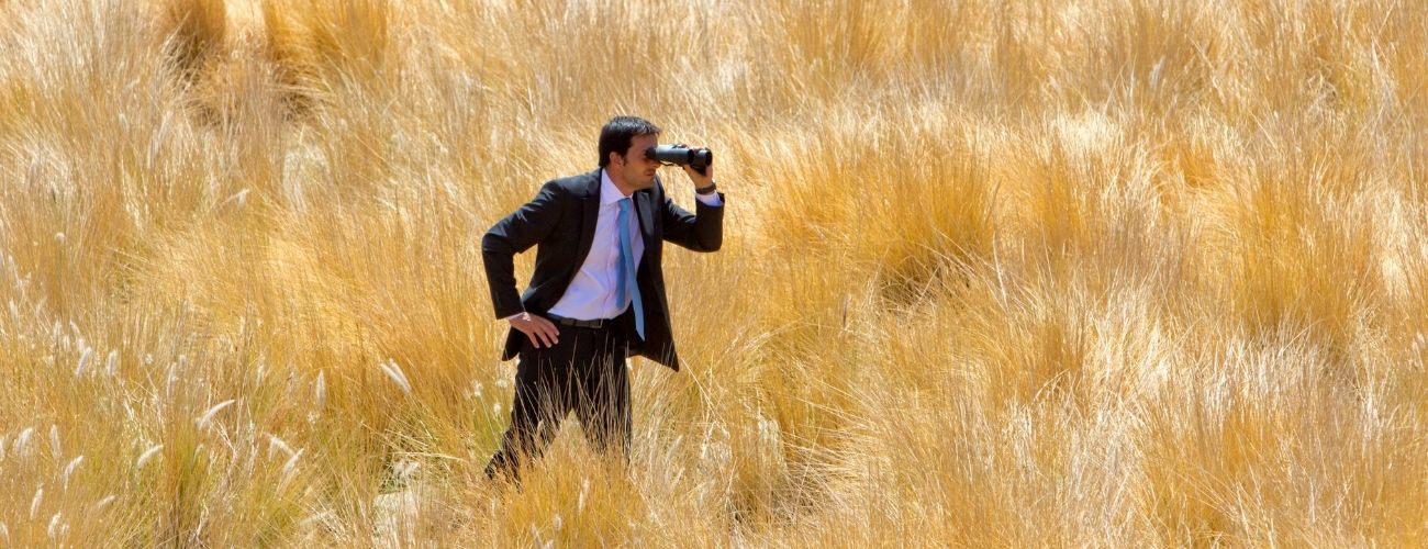 Man in business suit in middle of wheat field